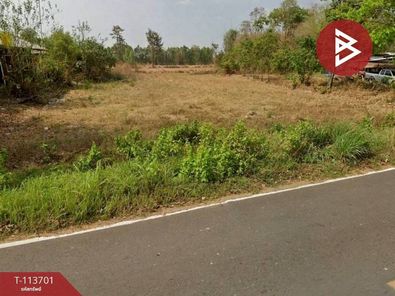 ขายที่ดิน 11 ไร่ 2 งาน 24.2 ตารางวา อำเภอพิบูลมังสาหาร อุบลราชธานี โนนกลาง พิบูลมังสาหาร 80uN1YnQ