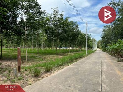 ขายที่ดินพร้อมสวนยางพารา ต.สำนักทอง เมืองระยอง เพ-แม่รำพึง-กะเฉด 5FdD70YV