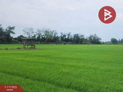 ขายที่ดิน 10 ไร่ อำเภอบางระกำ จังหวัดพิษณุโลก บางระกำ บางระกำ j3R6qa7b