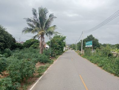 ขายที่ดินทำเลทอง “ใจกลางสัตหีบ” 2 ไร่ 98 ตร.ว.ติดถนนซอยสุขุมวิท 21 วิวทะเล-ภูเขา สวย ครบ จบในแปลงเดียว แยกเจ บางเสร่ เตาถ่าน kqcLql1i