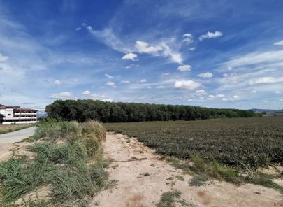 ขายที่ดิน ติดนิคมอีสเทิร์นซีบอร์ด เข้าซอย มาบยางพร 27 หรือ 31 ปลวกแดง-CK-แม่น้ำคู้-อีสเทิร์นซีบอร์ด JmHaO6TH