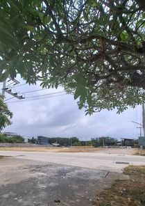 ขายที่ดินแปลงสวย นาจอมเทียน ชลบุรี นาจอมเทียน บ้านอำเภอ hGXvUWE6