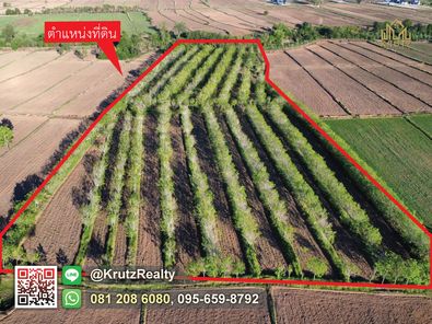 ขายที่ดินพร้อมสวนยาง อายุ ยางมากกว่า 11 ปีขึ้น เนื้อที่ 22 ไร่ 3 งาน 13 ตารางวา ตำบลปังกู อำเภอประโคนชัย จังหวัดบุรีรัมย์ ประโคนชัย Sne8WmUK