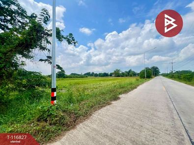 ขายที่ดิน เนื้อที่ 6  ไร่ 68.7 ตารางวา อ.พนัสนิคม ชลบุรี นาเริก พนัสนิคม RmpYryJp