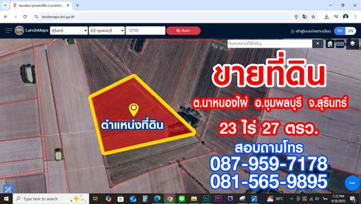 ขายที่ดิน นาหนองไผ่ ชุมพลบุรี สุรินทร์ นาหนองไผ่ ชุมพลบุรี 7lacA1oZ