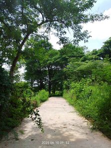 ขายด่วนที่ดิน ตั้งอยู่ ต.บ้านทุ่ม อ.เมือง จ.ขอนแก่น บ้านทุ่ม เมืองขอนแก่น tJY1gsS3