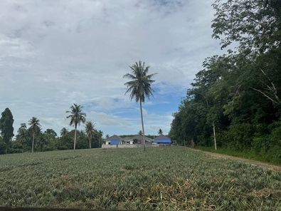 ขายที่ดินทำเลทองระยอง นิคมพัฒนา พื้นที่สีม่วงลาย 2 ไร่ ใกล้นิคม WHA และโรงงาน BYD ระยอง นิคมฯ-มาบข่า-เขาโบสถ์ xqEI4o6V