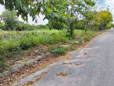 ขายที่ดินด่วน ทำเลทองกลางนิคมมาบตาพุด ระยอง 9 ไร่ 3 งาน พื้นที่สีม่วงลาย เหมาะสร้างโรงงาน โกดัง คลังสินค้า โรบินสันบ้านฉาง-ห้วยโป่ง ofnylwVc