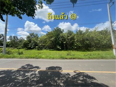 #สวนสวยในเมือง เพียงไม่ถึง 15 นาที จากเซ็นทรัล อุบลฯ แยกวารินฯ ศรีสะเกษ sHcbKWgZ