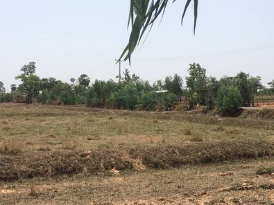 ขายที่ดิน ไร่ละ 200,000 บาท ตากูก เขวาสินรินทร์ 2pKOZwex