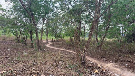 ขายที่ดิน 48 ไร่ พื้นที่สีม่วง ตรงข้าม BYD นิคมพัฒนา ระยอง นิคมฯ-มาบข่า-เขาโบสถ์ 7UPnfUO0