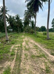 ขายที่ดินสวย >>> หุบบอน ศรีราชา ชลบุรี หนองขาม ศรีราชา ZZIe3wkC