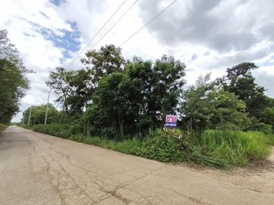 ขายที่ดิน ดอนบม - โนนตุ่น - บายพาส vv1s5aTP