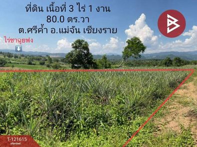 ขายที่ดิน เนื้อที่ 3 ไร่ 1 งาน 80.0 ตารางวา  อำเภอแม่จัน เชียงราย ศรีค้ำ แม่จัน qADmrWvX