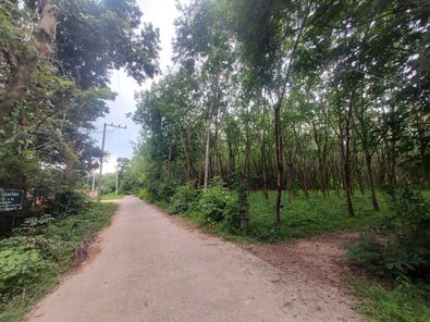 ขายที่ดินอำเภอดอนมดแดง ดอนมดแดง ดอนมดแดง SxrbAvvi