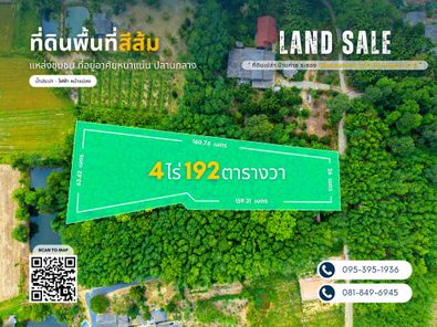 ขายที่ดิน ต.บางบุตร อ.บ้านค่าย จ.ระยอง-4 ไร่ 1 งาน 92.3 ตารางวา บ้านค่าย-บางบุตร t22lYETF