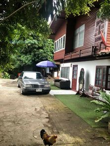 ขายบ้านและเกสท์เฮ้าท์ต.ริมกก อ.เมืองเชียงราย เนื้อที่ 1 ไร่ 43 ตรว. 9 ห้องนอน 9 ห้องน้ำ 6,900,000 บาท