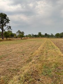 ขายที่นาพื้นที่ลุ่ม ปรับแต่งใหม่ จำนวน 6 ไร่ 3 งาน 20 ตารางวา   ในทำเล ม่วงสามสิบ, อุบลราชธานี ยางสักกระโพหลุ่ม ม่วงสามสิบ zj9jMxK7