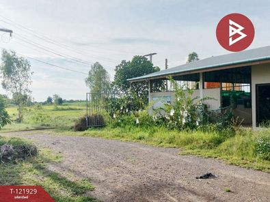 ขายบ้านเดี่ยว 1 ชั้น และโรงเพาะเลี้ยงปลา พร้อมสวนผลไม้ เนื้อที่ 28 ไร่ 3 งาน 40.1 ตารางวา อ.บางกระทุ่ม พิษณุโลก