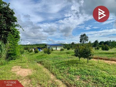 ขายที่ดิน สวนทุเรียน พร้อมบ้านเดี่ยว เนื้อที่ 15 ไร่ 3 งาน 9.0 ตารางวา อ.นาจะหลวย อุบลราชธานี นาจะหลวย นาจะหลวย W3uOfCHL