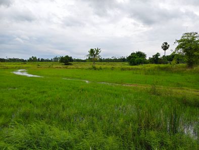 ขายที่ดิน ท่าพระ - หนองบัวดีหมี eQxiuFpo