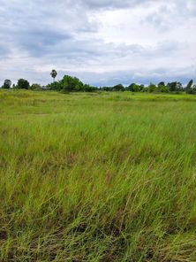 ขายที่ดิน ท่าพระ - หนองบัวดีหมี ltWY9hfi