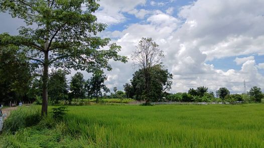 ขายที่ดิน ม่วงหวาน น้ำพอง D3nxFtCJ