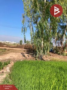 ขายที่ดิน เนื้อที่ : 50.0 ตารางวา ต.หัวรอ เมืองพิษณุโลก เต็งหนาม fThtBwAQ