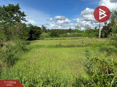 ขายที่ดิน เนื้อที่ 1 ไร่ 1 งาน 51.6 ตารางวา อ.นครไทย พิษณุโลก หนองกะท้าว นครไทย 62EXSmZH