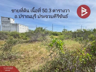ขายที่ดิน เนื้อที่ 50.3 ตารางวา อำเภอปราณบุรี ประจวบคีรีขันธ์ ปากน้ำปราณ-เขากะโหลก-สามร้อยยอด imyhaRnV