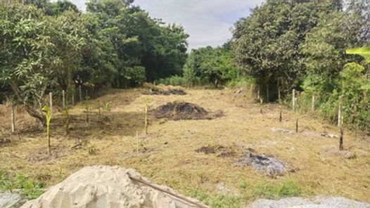 ขายที่ดิน คว้าโอกาสสุดท้าย! ที่ดินแปลงสวยสุดคุ้ม 162.5 ตร.ว. หลังสำนักงานที่ดินศรีราชา (ซ.หมู่ 6 ต.สุรศักดิ์) - ทำเลทองหายาก เพียง 1.2 ล้านบาท บางพระ ศรีราชา ถนนเก้ากิโล สรุศักดิ์ WKlGIhem