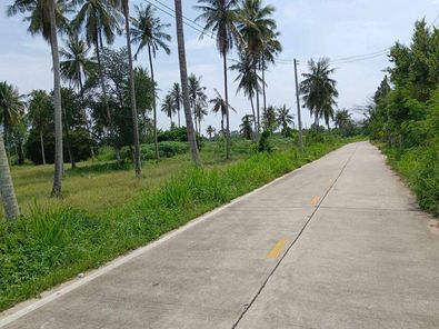 ขายด่วน! ที่ดินทำเลทอง "ห้วยใหญ่ ชลบุรี" 16 ไร่ 1 งาน 80 ตร.ว.พื้นที่สีส้ม เหมาะลงทุนทุกประเภท ใกล้หมู่บ้านดุสิต พัทยา เลค และโรงเรียนบ้านมาบฟักทอง ห้วยใหญ่ บางละมุง gRmAvhB9