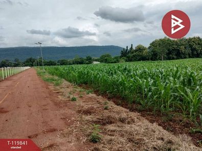 ขายที่ดิน เนื้อที่ 92 ไร่ 3 งาน 81.8 ตารางวา อ.วังทอง พิษณุโลก วังทอง วังทอง nLjGHv5e