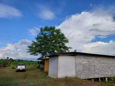 ขายที่ดินพร้อมสิ่งปลูกสร้าง อ.หนองเรือ จ.ขอนแก่น โนนสะอาด หนองเรือ Qe5g3Y5c