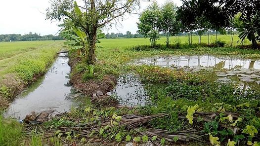 ขายที่นา ไม่ไกลจากตัวเมืองขอนแก่น โนนท่อน เมืองขอนแก่น 8pGQlxYL