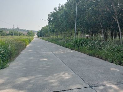 ขายที่ดินทำเลทอง นิคมพัฒนา ระยอง 162-3-34ไร่ พื้นที่สีส้ม ใกล้นิคมอุตสากรรม WHA และโรงงานรถไฟฟ้า BYD นิคมฯ-มาบข่า-เขาโบสถ์ uUB3c0uX