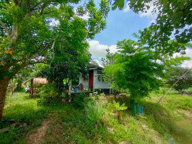 ขายที่ดินเขตอำเภอกระนวน เนื้อที่ 10 ไร่ 3 ตารางวา หนองโก กระนวน hwGvMf4n