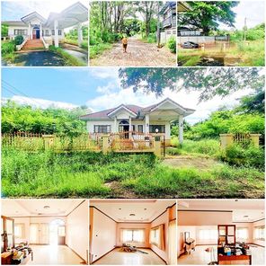 บ้านชั้นเดียวยกพื้นสูง พื้นดินสูงกว่าถนน บรรยากาศดีมาก เป็นส่วนตัว แต่ไม่เปลี่ยว ถนนกว้าง เข้า.ออกสะดวก ใกล้ถนนเลี่ยงเมือง.ถนนมิตรภาพ เข้าเมือง 10นาที บ้านโนนตุ่น เมืองขอนแก่น(ราคาต่ำกว่าประเมินแบงค์)