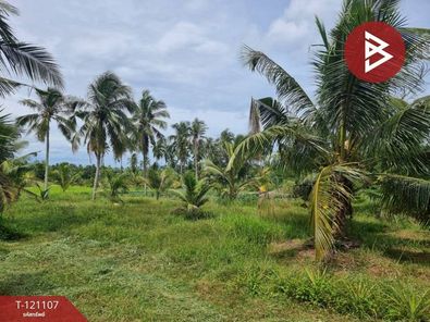 ขายที่ดิน เนื้อที่ 9 ไร่ 2 งาน 17.0 ตารางวา อ.บางสะพานน้อย ประจวบคีรีขันธ์ บางสะพาน-ทับสะแก Hc1FoYI5