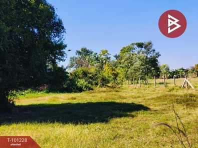 ขายที่ดิน เนื้อที่ 200 ตารางวา ตำบลแกใหญ่ เมืองสุรินทร์ ท่าสว่าง 7HWqJwzw