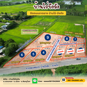 ขายที่ดิน เต็งหนาม ar14rMsr