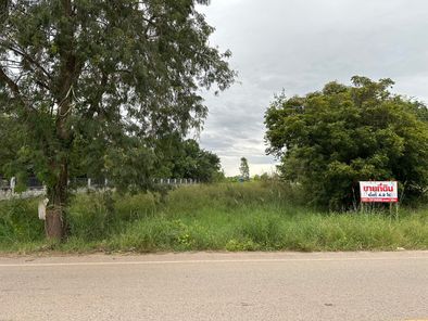 ขายที่ดิน เซ็นทรัลพลาซ่า-สี่แยกบ้านกร่าง vi5dmGgI