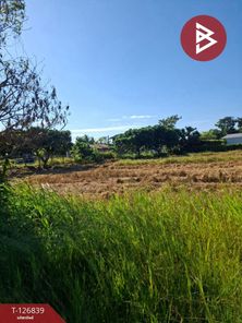 ขายที่ดิน เนื้อที่ 6 ไร่ 1 งาน 57 ตารางวา อำเภอขุนตาล เชียงราย ต้า ขุนตาล bUdWxrXO