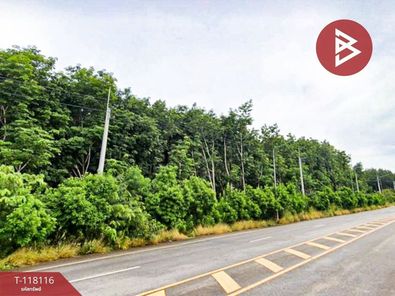 ขายที่ดินติดถนนใหญ่ เนื้อที่ 12 ไร่ อำเภอเขาชะเมา มระยอง EECi วังจันทร์-เขาชะเมา UTtYRifB