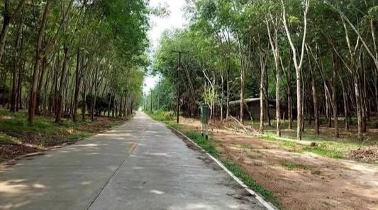 ขายที่ดินใกล้นิคมหลักชัย เมืองระยอง 155-1-83 ไร่ ผังสีม่วงลาย เหมาะทำนิคมอุตสาหกรรม โรงงาน โกดังสินค้า เพ-แม่รำพึง-กะเฉด pfi695zk