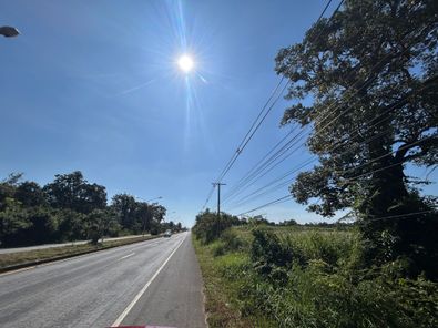 ขายที่ดิน ต.หนองไข่นก อ.ม่วงสามสิบ ติดถนนชยางกูร หนองไข่นก ม่วงสามสิบ QRoEDQKo