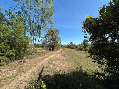 ขายที่ดิน บ้านหนองมะเขือ โฉนด 2 แปลง ชยางกูร ฝั่งห้วยคุ้ม คลังอาวุธ squVQcXL