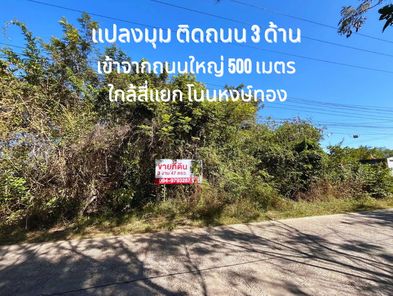 โอกาสทอง! ที่ดินถนน 3 มุม 3 งาน 47 ตรว เข้าจาก ถ.อุบล-ตระการ 500 ม. ใกล้สี่แยก โนนหงษ์ทอง 1 km ✨ โนนหงษ์ทอง - อุบลฯ ตระการ f63xpE0k
