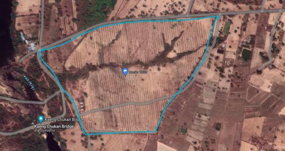 ขายที่ดิน 133 ไร่ พร้อมสวนมันสำปะหลัง เหมาะกับการเกษตรและพัฒนาที่ดินต่อไป ใกล้แก่งจุการ คำไหล ศรีเมืองใหม่ DenhNBms