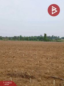 ขายที่ดิน เนื้อที่ 106 ไร่ 2 งาน 70.0 ตารางวา อำเภอหนองหาน อุดรธานี หนองหาน หนองหาน 8I7g6Hu0